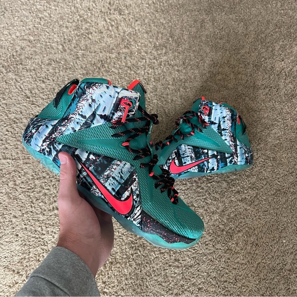 lebron 12 akron birch